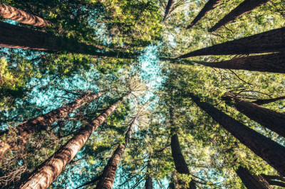 Verse of the Day | September 4