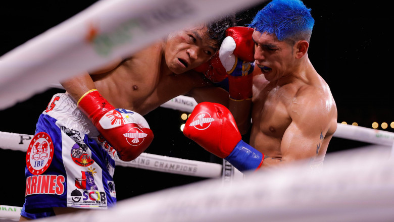 Panaboan ex-world boxing champ  moves up  weight in next bout