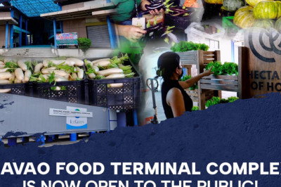 LTFRB okays more jeepney routes in Toril