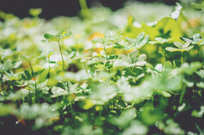 Verse of the Day | October 26