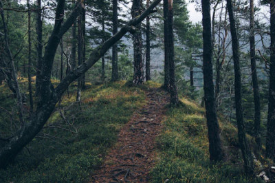 Verse of the Day | November 12