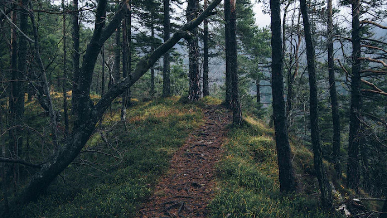 Verse of the Day | December 20