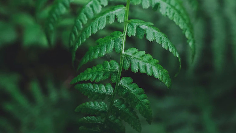 Verse of the Day | January 4,2023