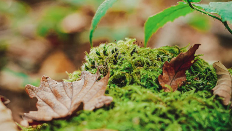Verse of the Day | January 15, 2023