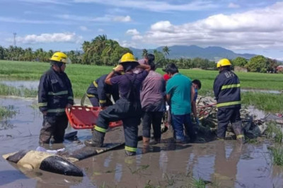 Eroplano sa Philippine Airforce, nahagsa sa Bataan; 2 piloto patay