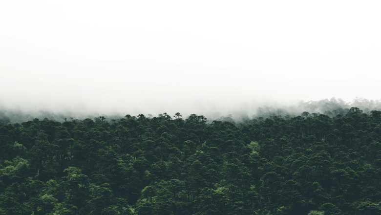 Verse of the Day | May 15, 2023