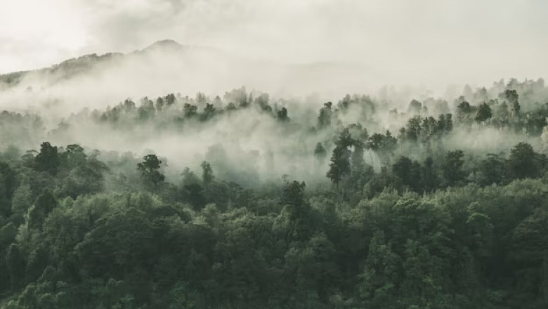 Verse of the Day | June 30, 2023