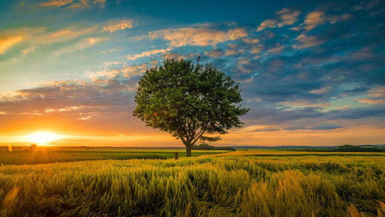 Verse of the Day | July 8, 2023