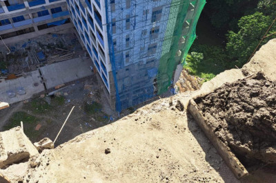 2 siblings die after falling off building