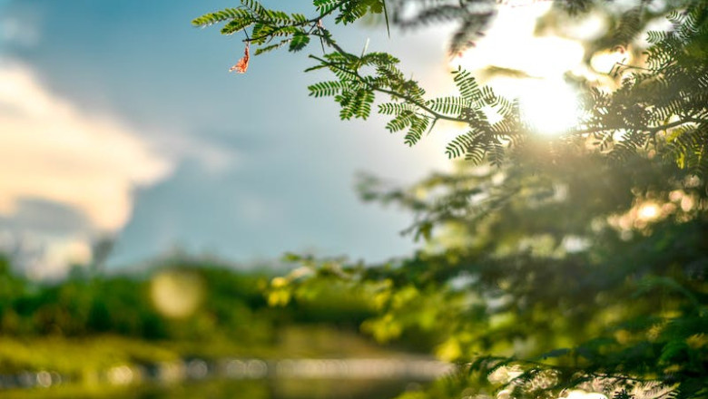 Verse of the Day | July 28,2023