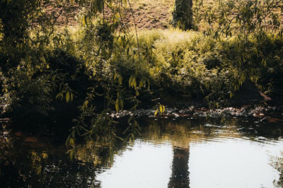 Verse of the Day | August 5, 2023
