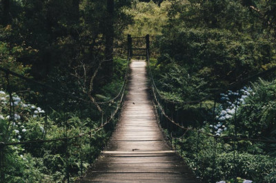 Verse of the Day | August 10, 2023