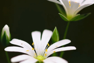 Verse of the Day | September 16, 2023