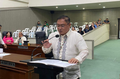 Cutting of trees at Candelaria, Ecoland worries City Councilor