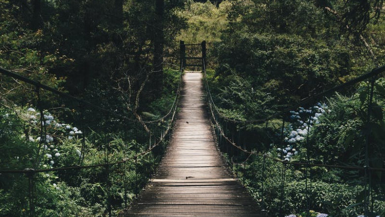 Verse of the Day | October 14, 2023