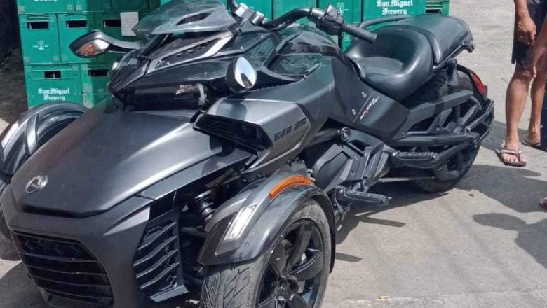 Crocodile park owner dies in road mishap