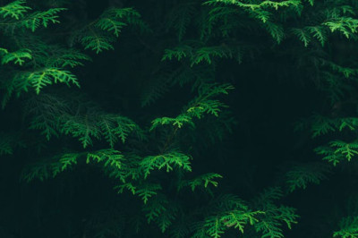 Verse of the Day | Jan. 24, 2024