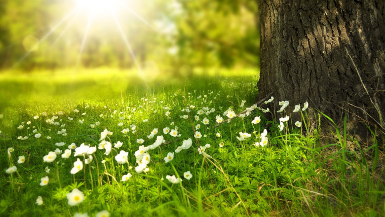 Verse of the Day | April 30, 2024