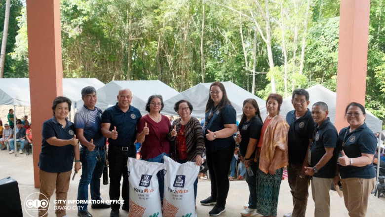 Davao City LGU provides free fertilizers to cacao farmers