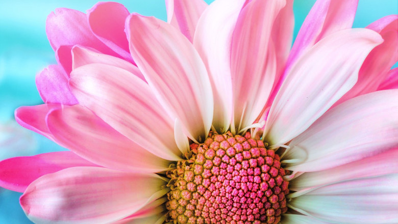 Verse of the Day | July 11, 2024