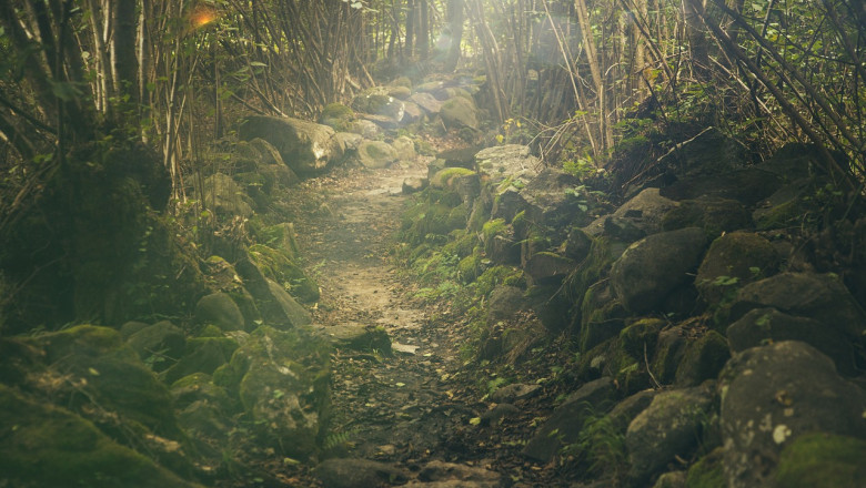 Verse of the Day | July 23, 2024