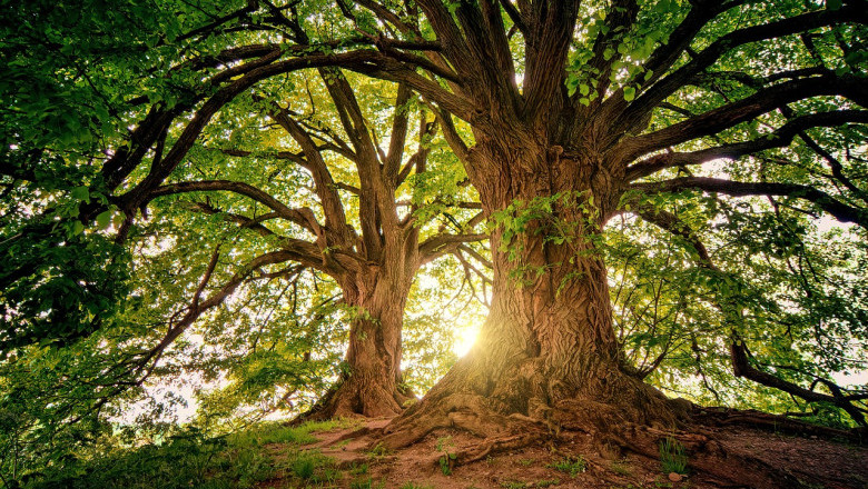 Verse of the Day | August 6, 2024