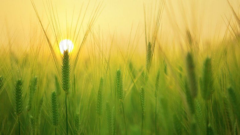 Verse of the Day | August 10, 2024