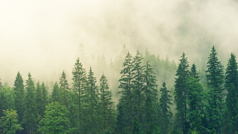 Verse of the Day | Oct. 4, 2024