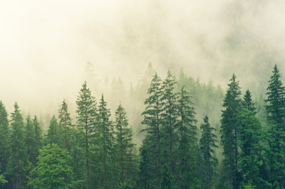 Verse of the Day | Oct. 4, 2024