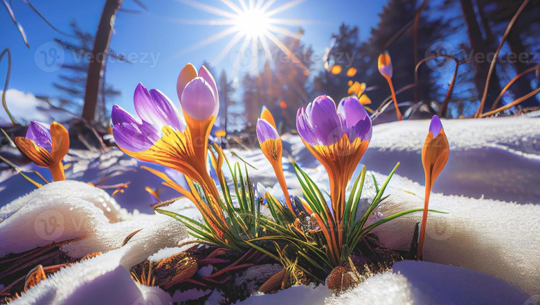 Verse of the Day | Jan. 9, 2025