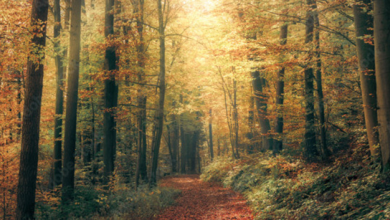 Verse of the Day | Jan. 17, 2025