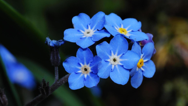 Verse of the Day | Feb. 10, 2025