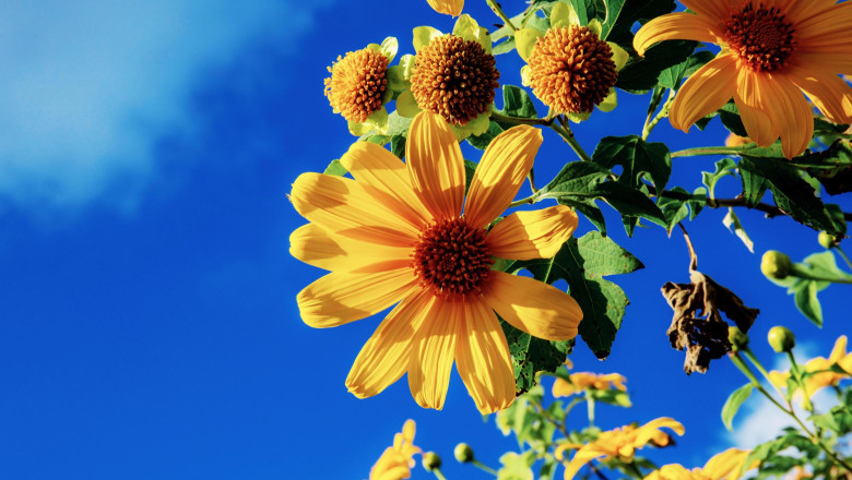 Verse of the Day | Feb. 17, 2025