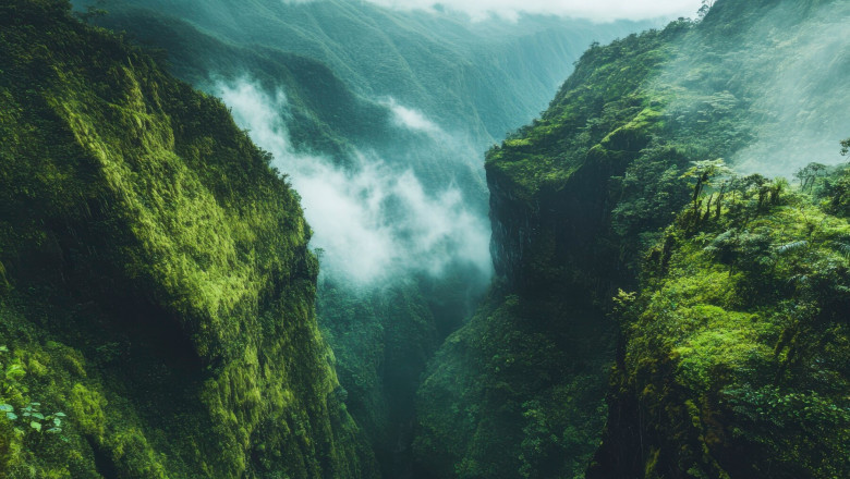 Verse of the Day | Feb. 19, 2025