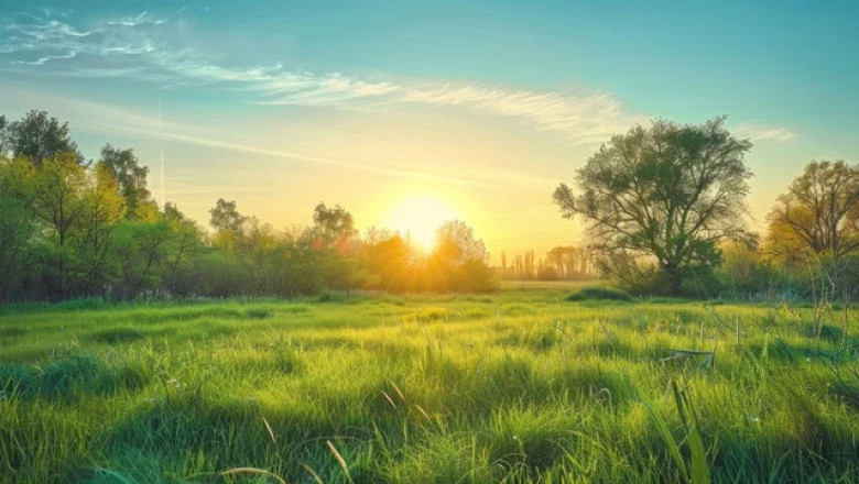 Verse of the Day | March 13, 2025