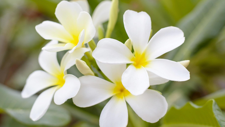 Verse of the Day | March 21, 2025