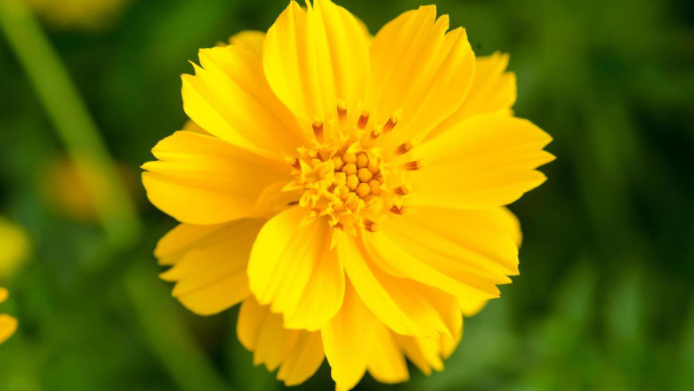 Verse of the Day | March 29, 2025