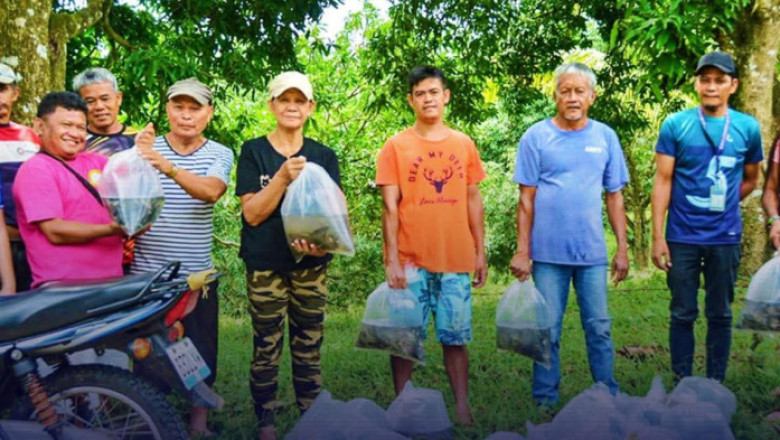Davao City Agri  distributes over 26k tilapia fingerlings in three months