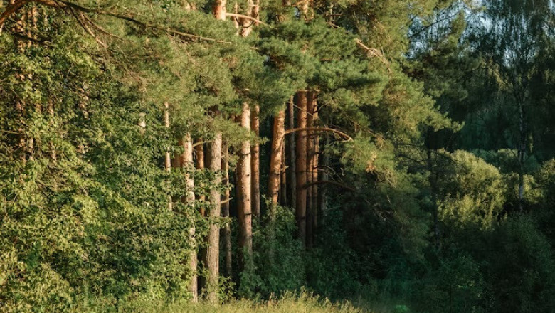 Verse of the Day | July 18, 2025