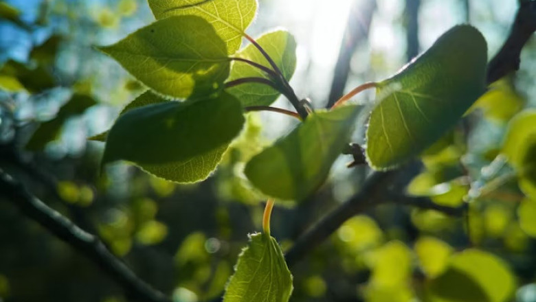 Verse of the Day | July 22, 2025