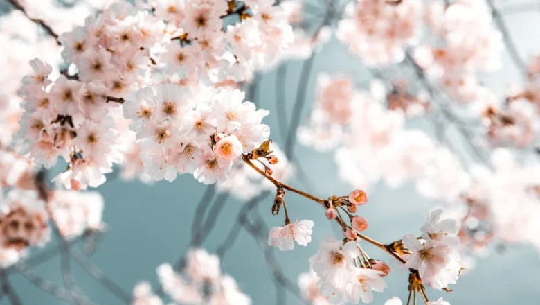 Verse of the Day | October 16, 2025