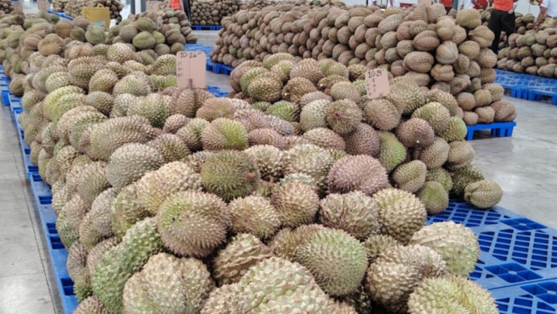 Durian Export Processing Facility  sa Davao City, ibinida ng Chinese Embassy