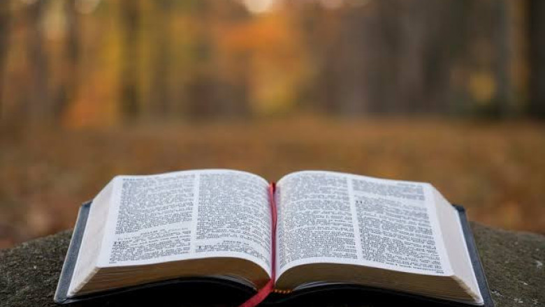 Verse of the Day | February 11, 2026
