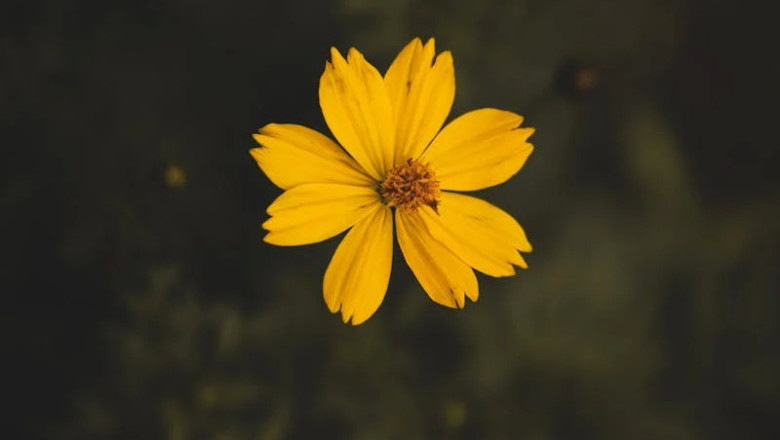 Verse of the Day | March 12, 2026