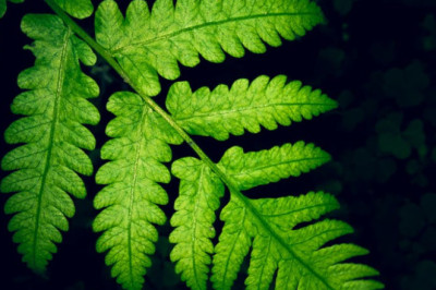 Verse of the Day | March 25, 2026