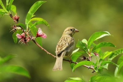 Verse of the Day | April 9, 2026