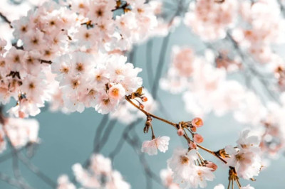 Verse of the Day | April 23, 2026