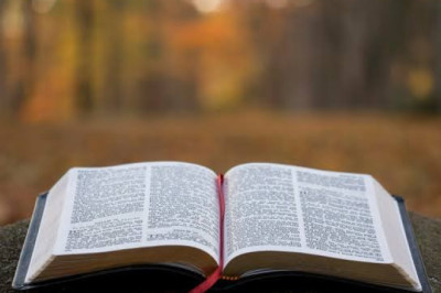 Verse of the Day | April 25, 2026