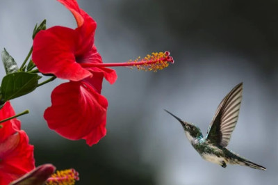 Verse of the Day | April 29, 2026