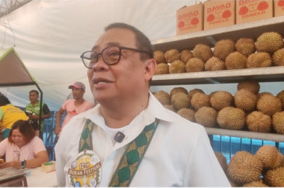 No ASF outbreak in Davao de Oro, says DA 11